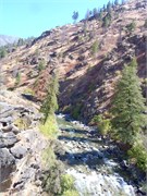 31383_Middle Fork